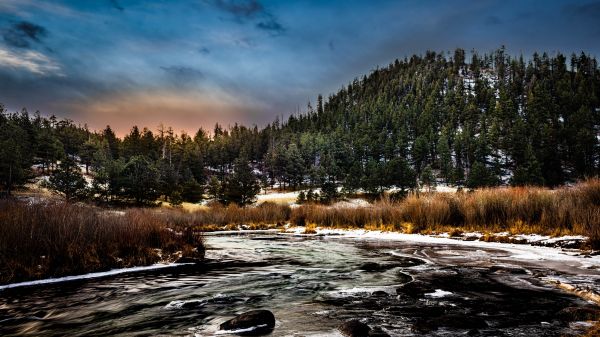 небо,Облако,растение,воды,Natural landscape,Дерево