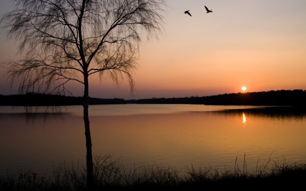 luz solar,panorama,Pôr do sol,lago,agua,natureza