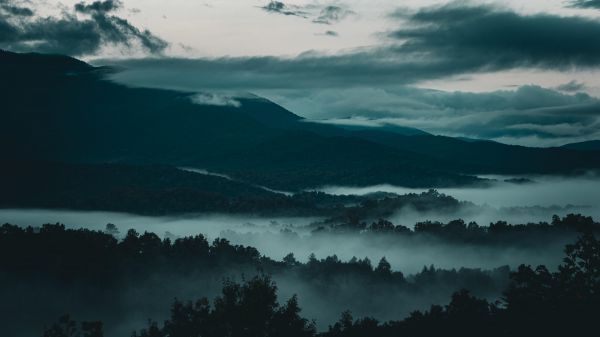 peisaj,pădure,natură,Statele Unite ale Americii,zori de zi,Tennessee