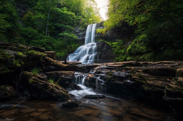 воды,растение,Natural landscape,fluvial landforms of streams,Дерево,природа