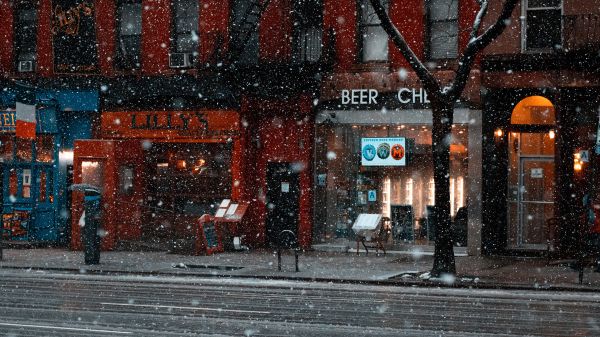 建造,雪,窗口,路面,冷冻,市