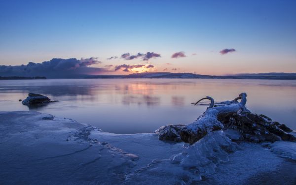 landskap, solnedgång, hav, solljus, skog, natt