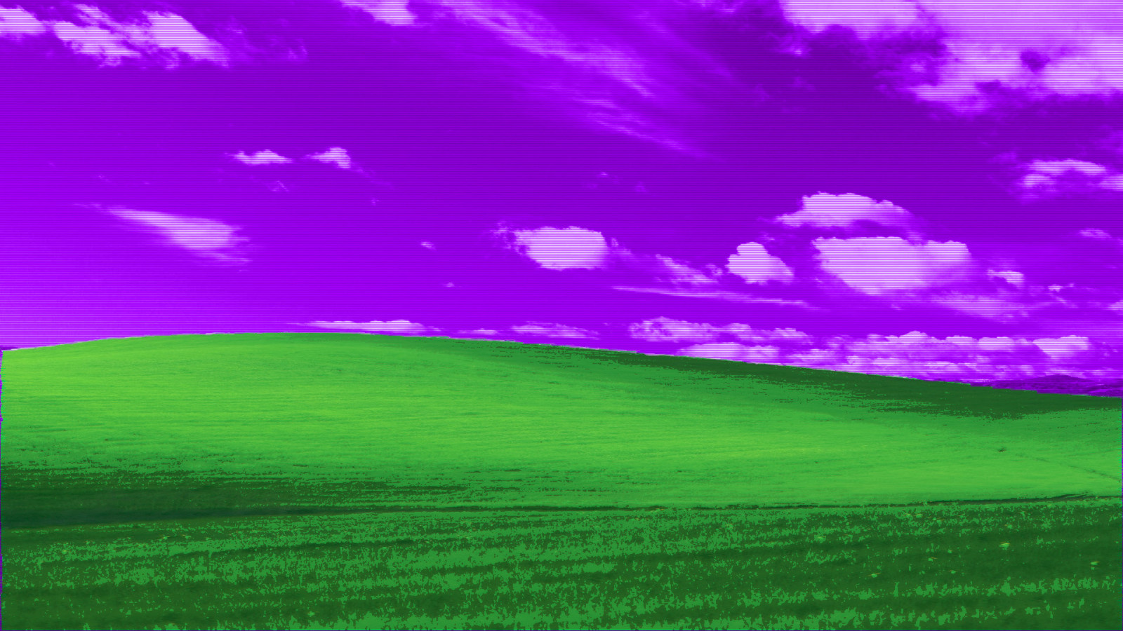 Windows XP, blaho, vaporwave, glitch art, Microsoft