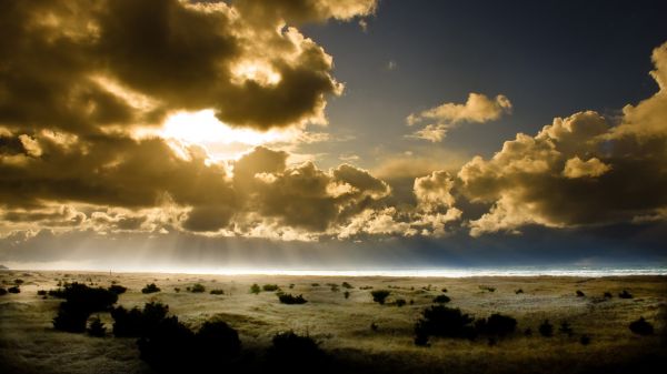 skyer,solnedgang,felt,Strand,himmel,gul