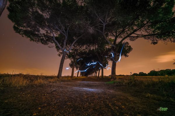 Japonia, lumina soarelui, peisaj, Londra, strada lumina, oameni