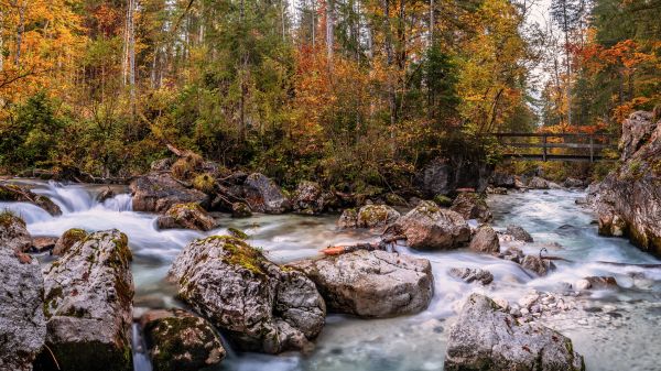 воды,водные ресурсы,растение,fluvial landforms of streams,Natural landscape,филиал