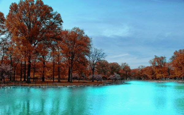 lago,agua,natureza,Árvores,panorama,reflexão