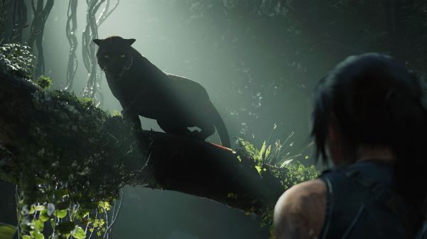 Shadow of the Tomb Raider,ララ・クロフト,野生の猫