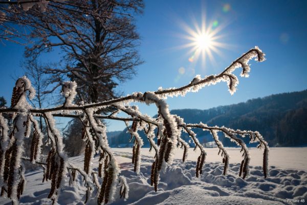 日光,風景,自然,空,雪,冬