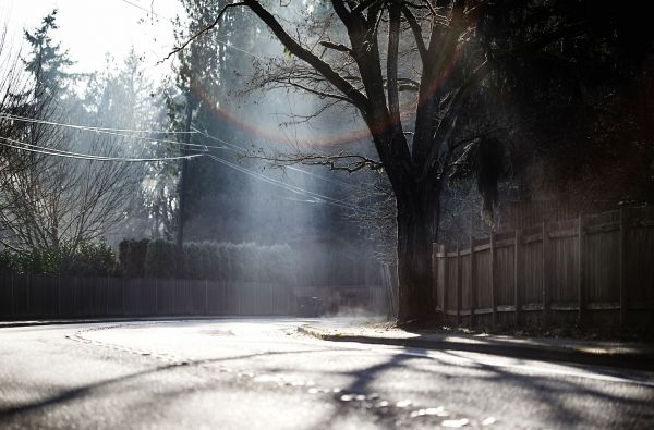 lumina soarelui, stradă, noapte, reflecţie, zăpadă, iarnă