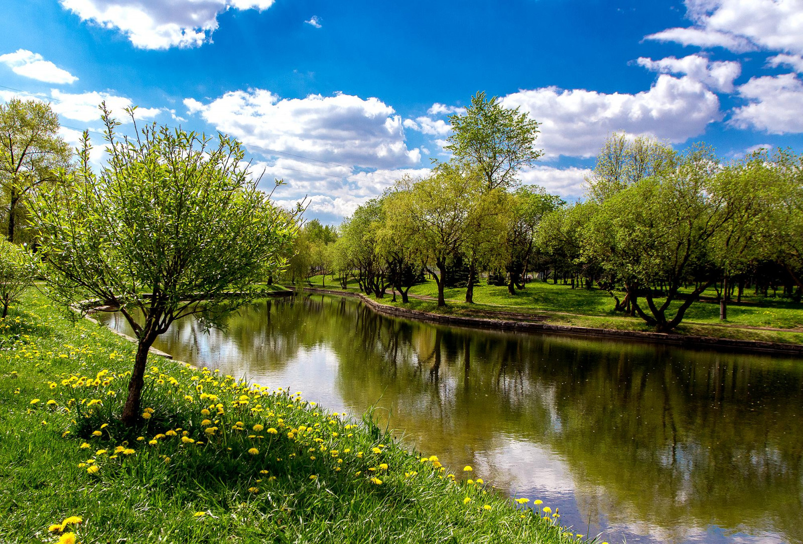 parc, éclairage, ville, fleurs, bleu, des arbres, lumière, ciel, Urbain, les plantes, nuage, Soleil, lumière du soleil, plante, fleur, Couleur, Couleur, réflexion, arbre, vert, la nature, eau, couleurs, beau, beauté, champ, herbe, jaune, des nuages, numérique, Canon, saison, paysage, Eos, paysages, lumière du jour, ville, printemps, agréable, journée, ciels, saisons, fleur, beaucoup, mai, adorable, lumière naturelle, Ensoleillé, grand angle, tranchant, pissenlit, Urbannature, 7d, Floraison, avril, épanouissement, ensoleillé, Canondslr, Canoneos, Digitalslr, Pissenlit, printemps, Cpl, épanouissement, surface de l'eau, Lseries, Canon1740, Marumi, Llens, Canonlens, Canonef1740mmf4l, Canonllens, Naturalillumination, Marunifiltres, Canon7d