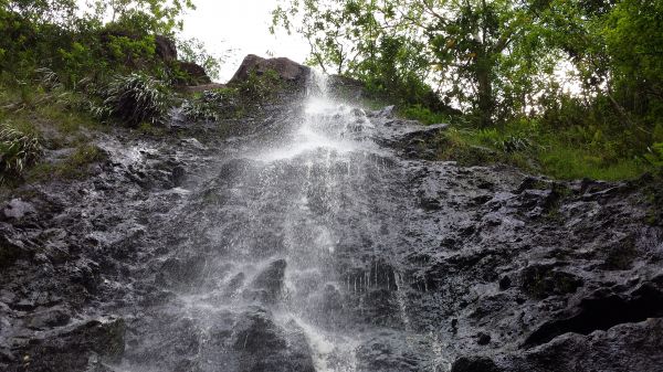 foss,vann,natur,strøm,Hawaii,oahu