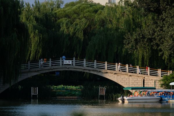 Beijing,perahu dayung,taman