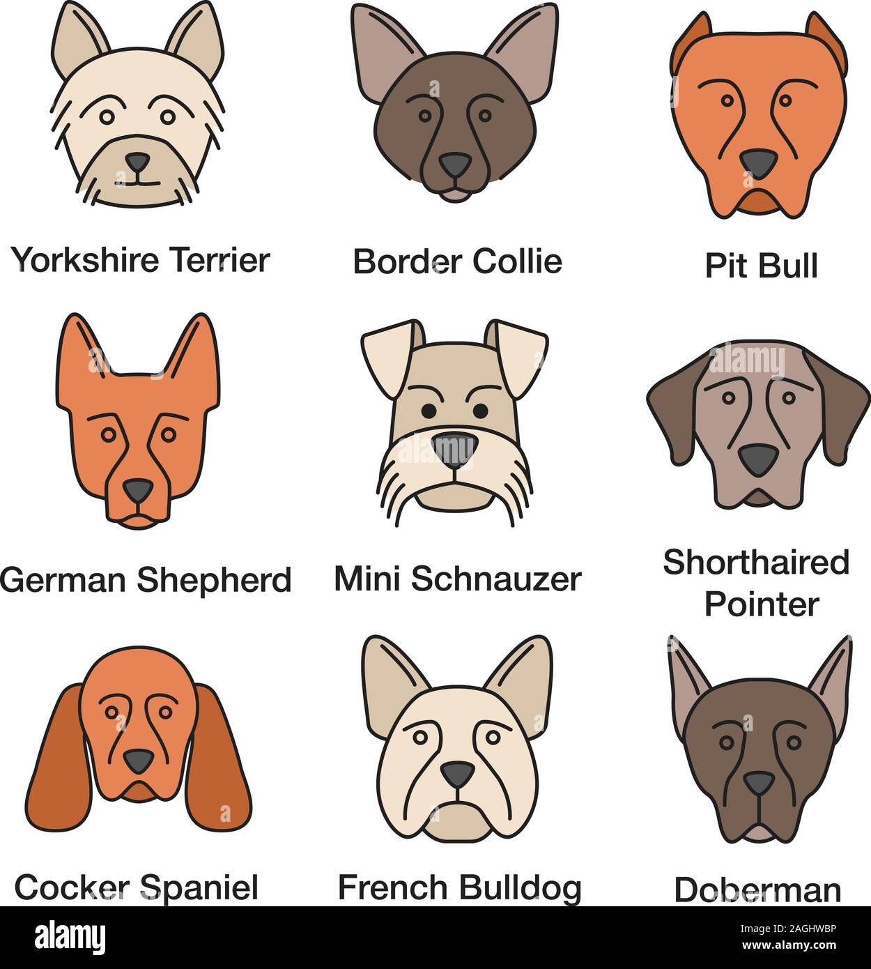 Dogs breeds color icons set. Yorkshire Terrier, German Shepherd, Cocker Spaniel, Border Collie, French Bulldog, pit bull, Doberman Pinscher, Shorthair Stock Vector