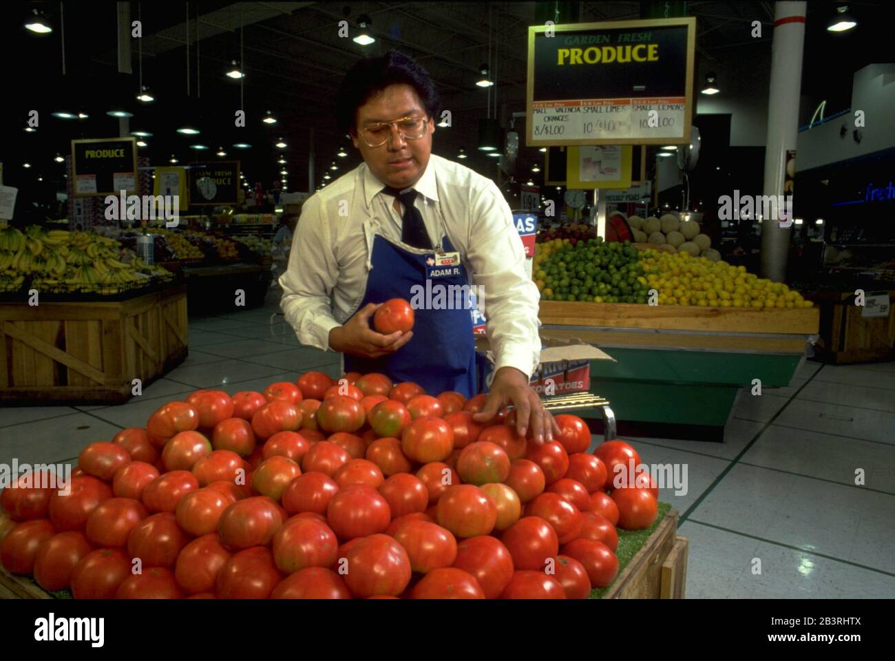 Austin Texas USA, circa 1992: Hispanic produce clerk arranges fresh tomatoes on display table at supermarket. ©Bob Daemmrich Stock Photo