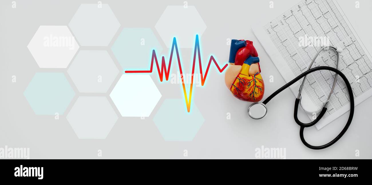 Stethoscope, heartbeat, results of the electrocardiogram and anatomical heart model, flat lay. medical banner, healthcare and cardiology concept Stock Photo