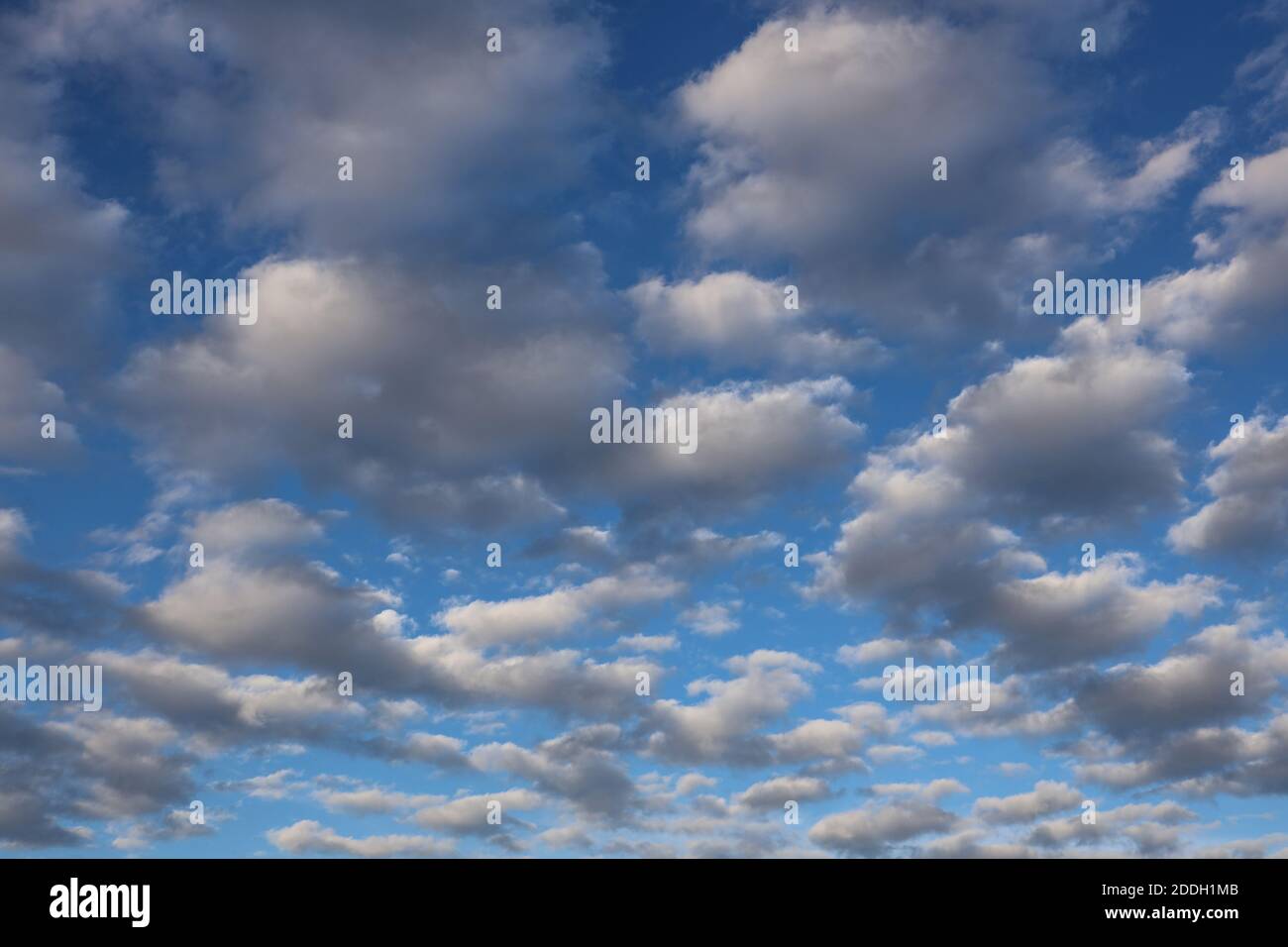 A dappled Mackerel cloudy sky is sometimes known as a buttermilk sky. Never long wet, never long dry. Stock Photo