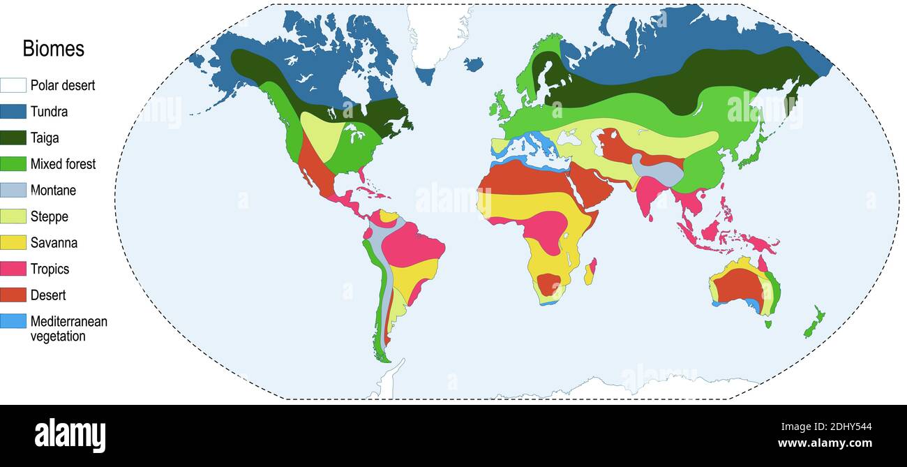 Biomes. Terrestrial ecosystem is a community of living organisms. Biotope: montane, desert, tropics, savanna, steppe, mediterranean, mixed forest Stock Vector