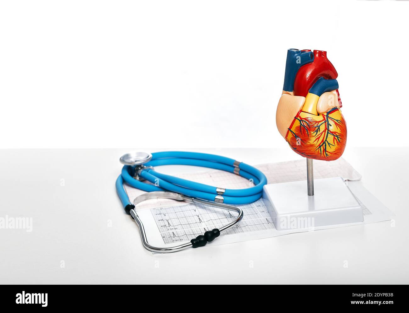 Stethoscope, heartbeat, results of the electrocardiogram, and anatomical heart model on doctor table. Healthcare and cardiology concept Stock Photo