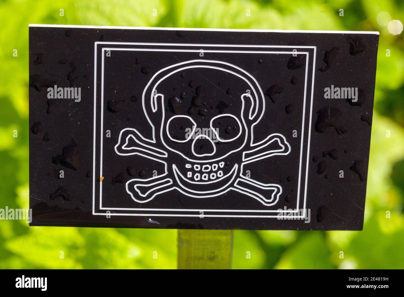 Poisonous plants sign Stock Photo