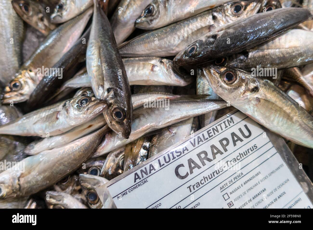 Fresh Carapau in Algarve Fish Market, Portugal Stock Photo