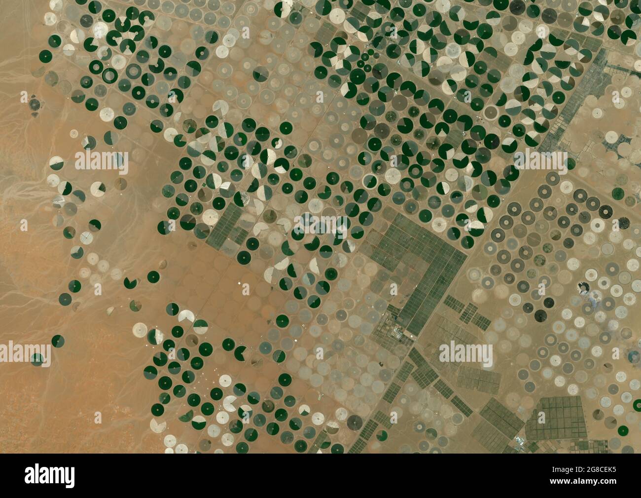 Crop Circles in the Desert, Saudi Arabia Stock Photo