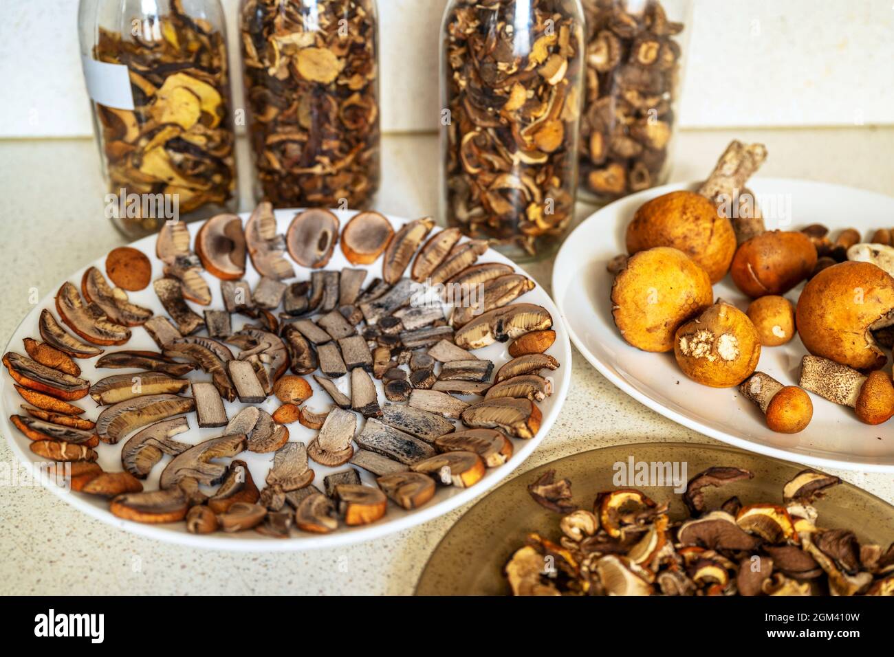 Many forest mushroom, (mainly with orange head Leccinum). Fungi are mostly raw, whole or sliced on plate and dried in tall glass on kitchen table. Stock Photo