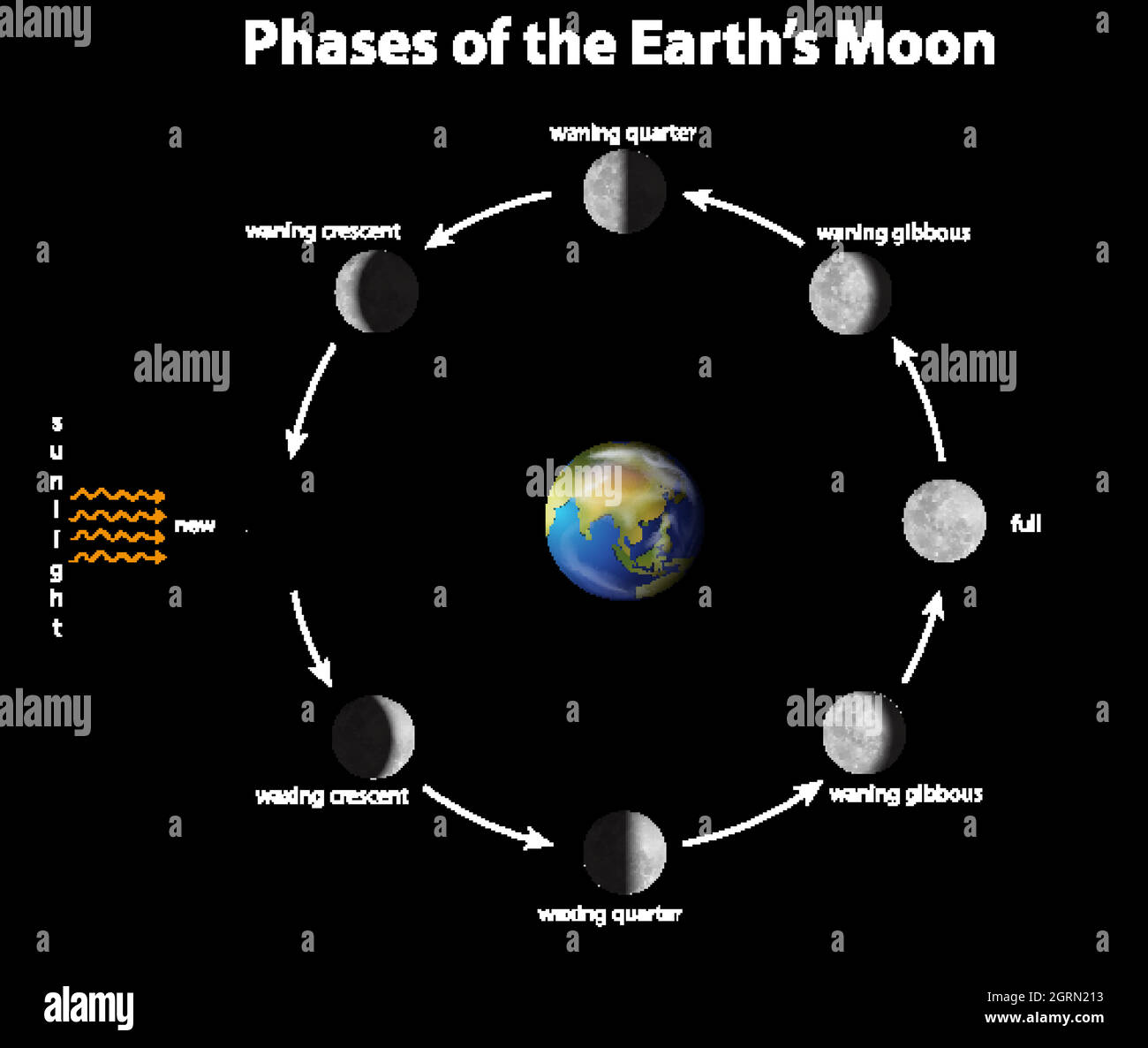 Moon Phase Diagram