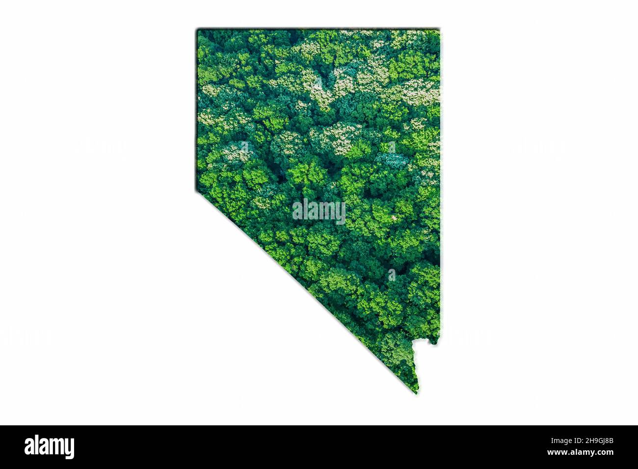 Green Forest Map of Nevada, on white background Stock Photo