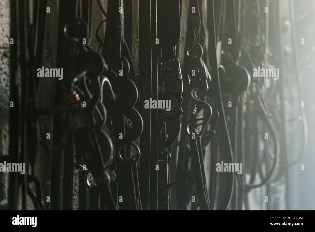 Closeup of a horse bridle hanging in tack room Stock Photo