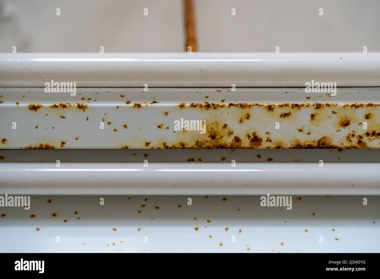 Close up of a rust film on a metal part of a hanging lamp. Flash rust on an old object. Fluorescent light tubes in a socket are in bad condition. Stock Photo