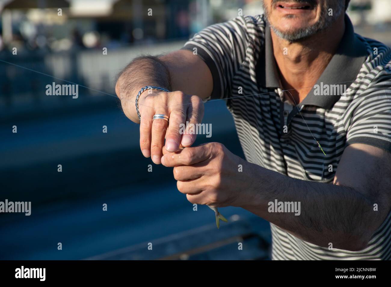 Freshly caught horse mackerel fish on a hook on a man's hand, side view. Stock Photo