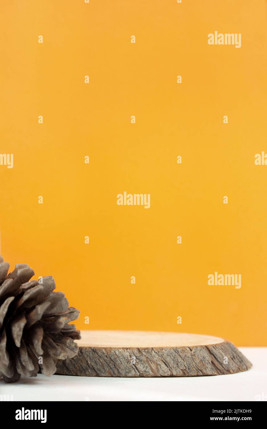 Wood podium saw cut tree on orange background with autumn pine cone. Autumn subject. Minimalism autumn composition Stock Photo