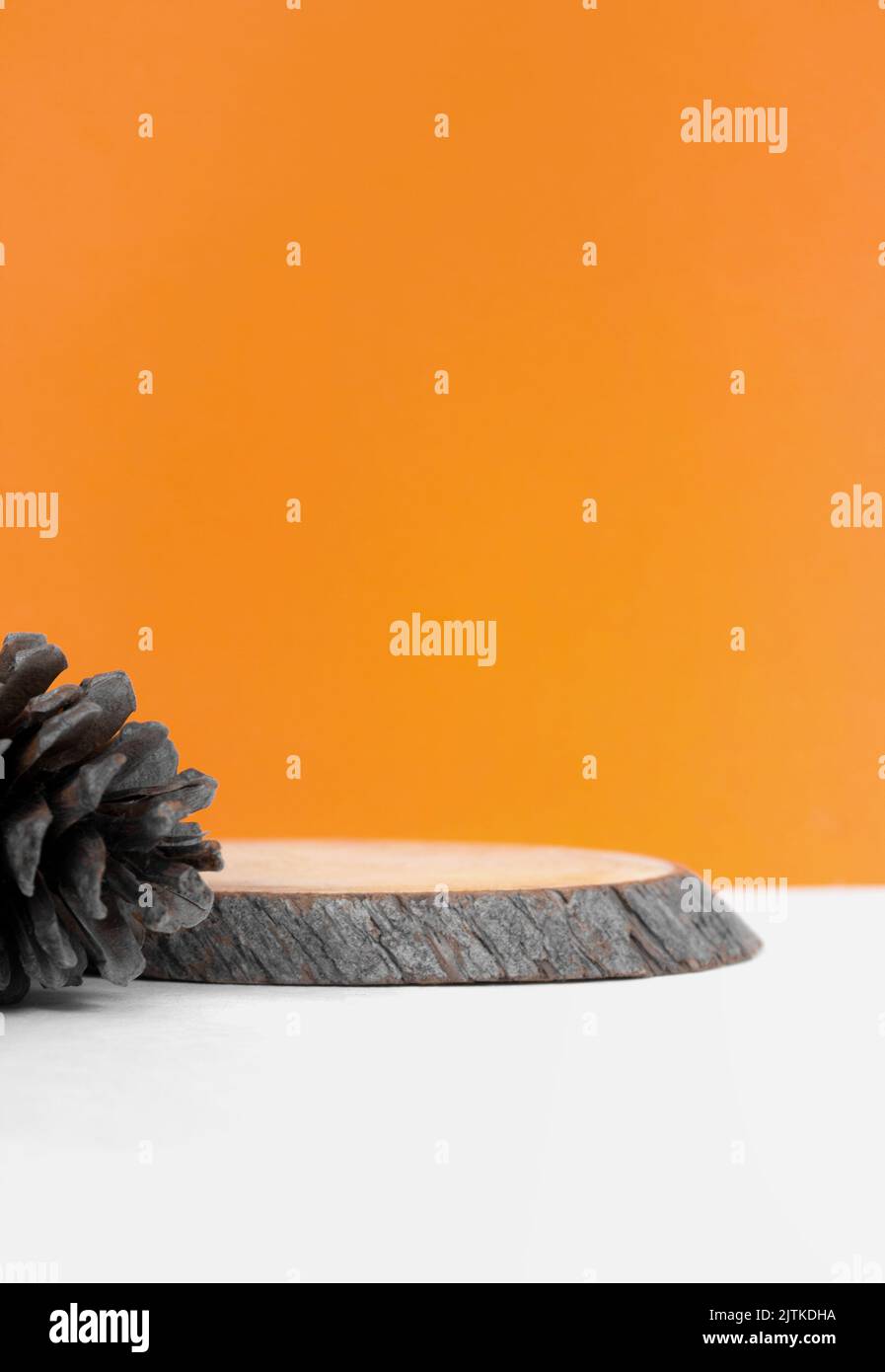 Wood podium saw cut tree on orange background with autumn pine cone. Autumn subject. Minimalism autumn composition Stock Photo