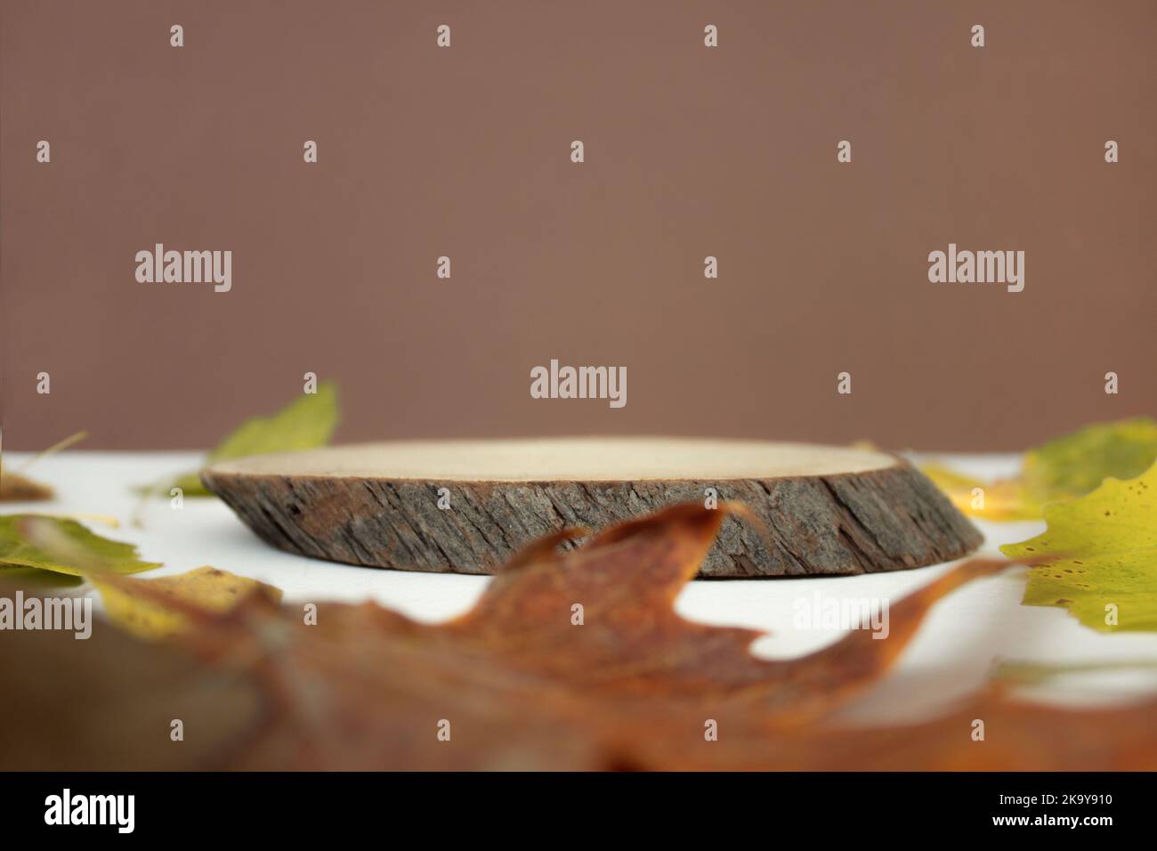 Wood podium saw cut tree on brown background with autumn leafs. Autumn subject. Minimalism autumn composition Stock Photo