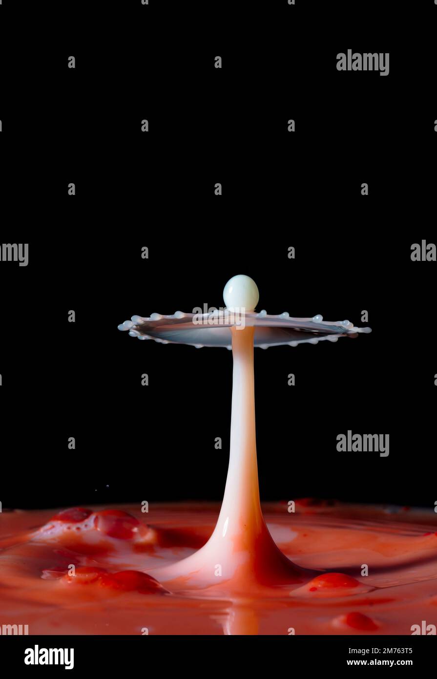 Collision image of milk droplets forming a beautiful tall mushroom figure Water droplet photography Stock Photo