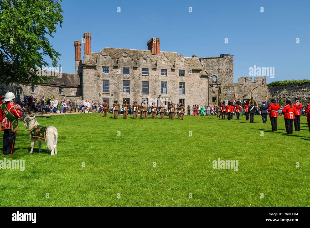 Royal Welsh Guards with mascot celebrate the reaffirmation for their Freedom of the County in the grounds of Hay Castle Powys Wales UK. May 2023 Stock Photo