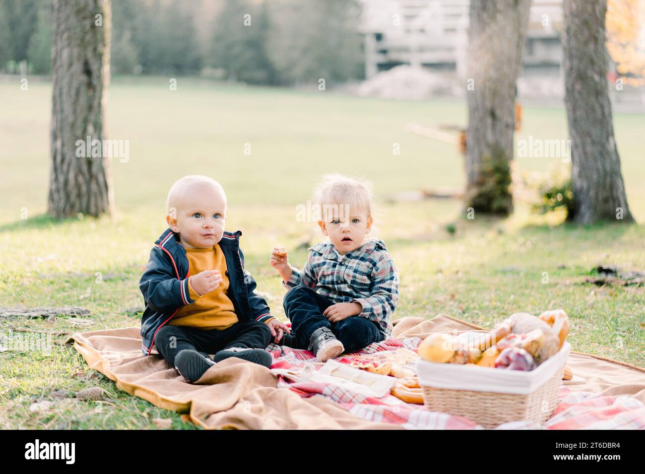 Little boy and girl eating buns while sitting on a blanket at a picnic ...