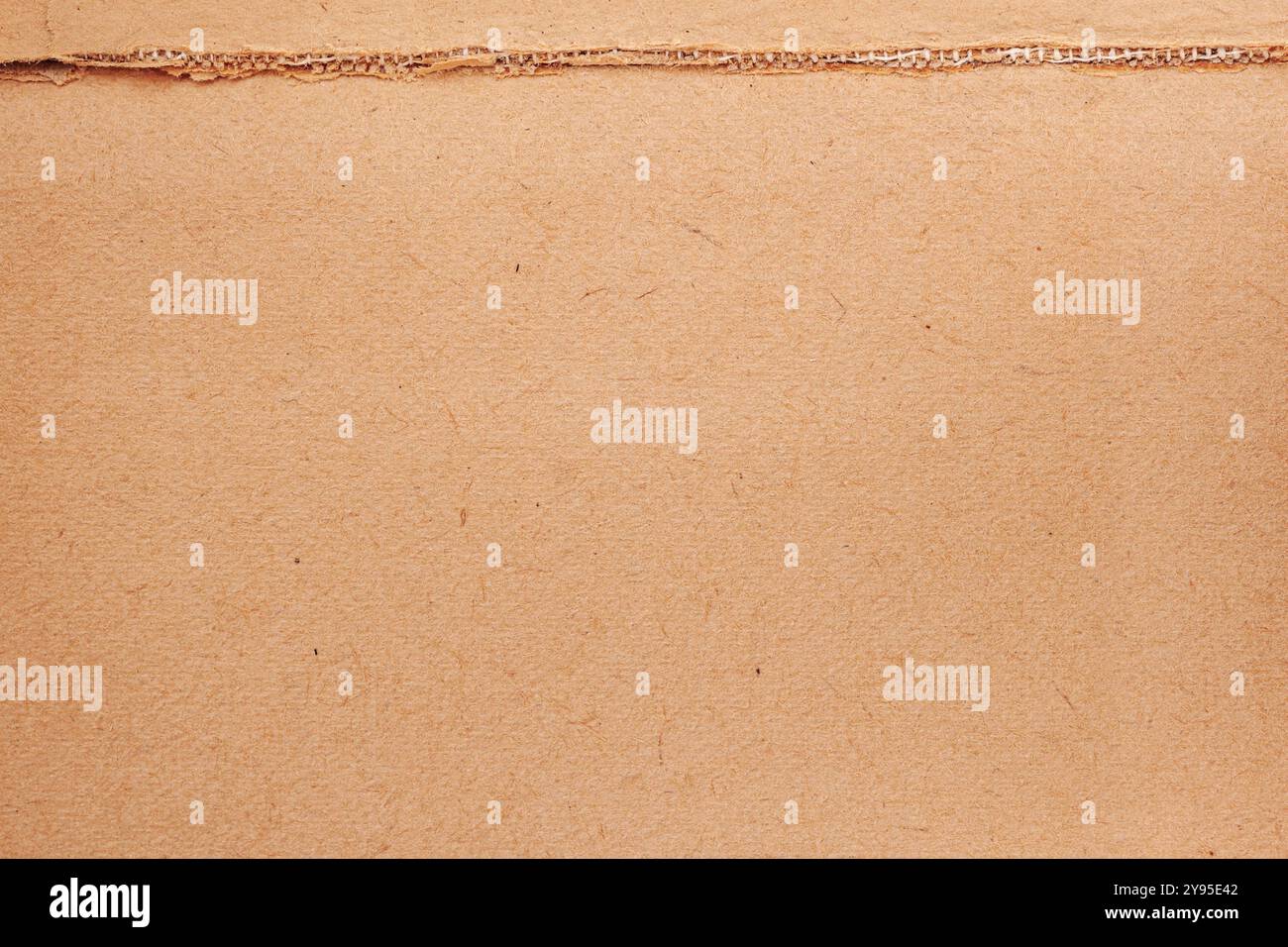 Simple brown paper texture, background, natural flat surface Stock Photo