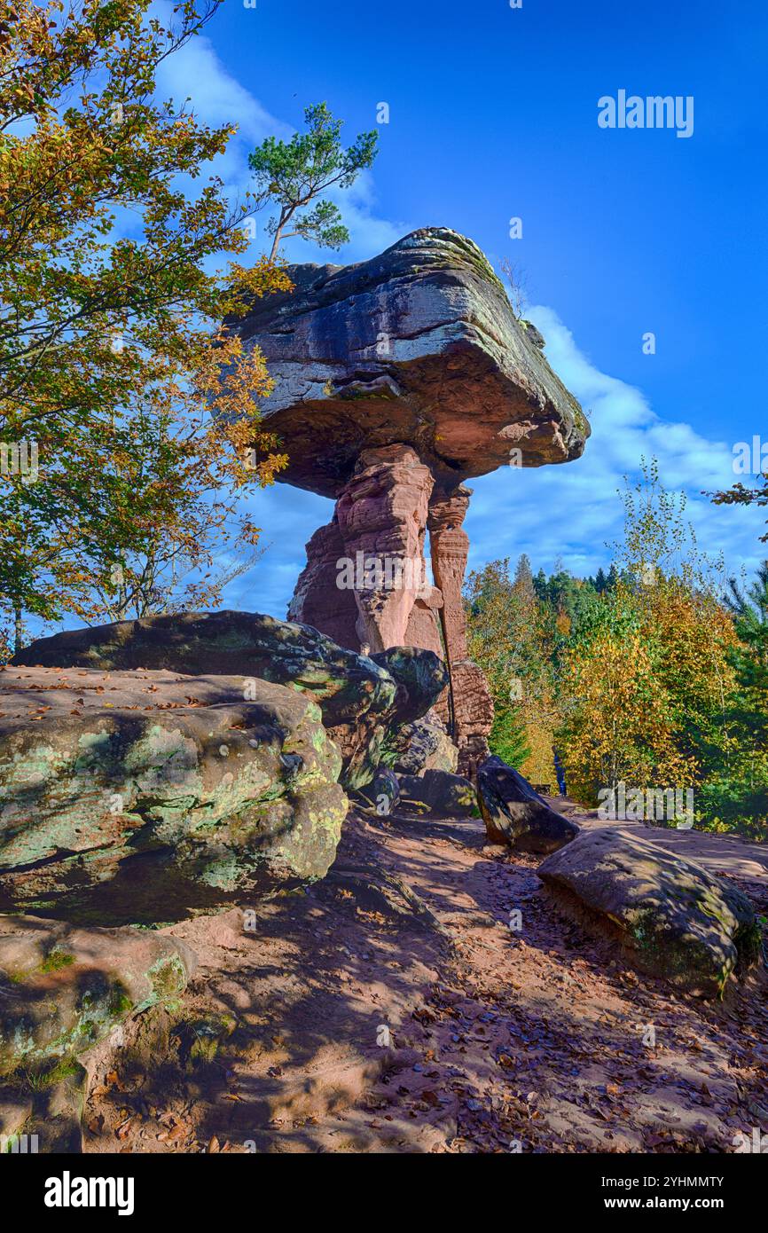 The 14 meter tall mushroom rock called Devil's Table (Teufeltisch) in Hinterweidenthal, southern Palatinate Forest (Rheinland-Pfalz), Germany. Stock Photo