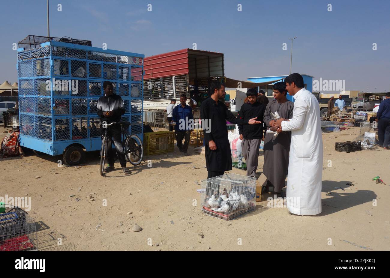 Young men haggling over prize pigeons, outdoor market, Tabuk, Saudi Arabia. No MR or PR Stock Photo