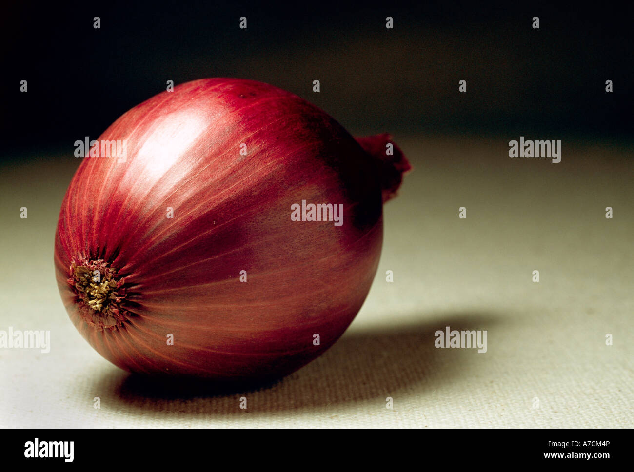 Red Onion. Stock Photo