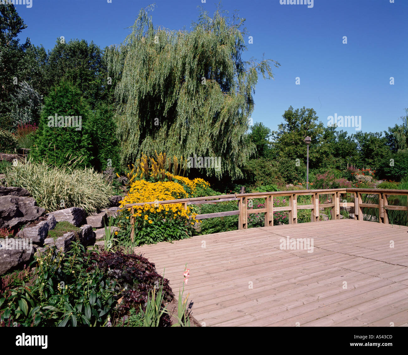 Deck and plants in garden Stock Photo