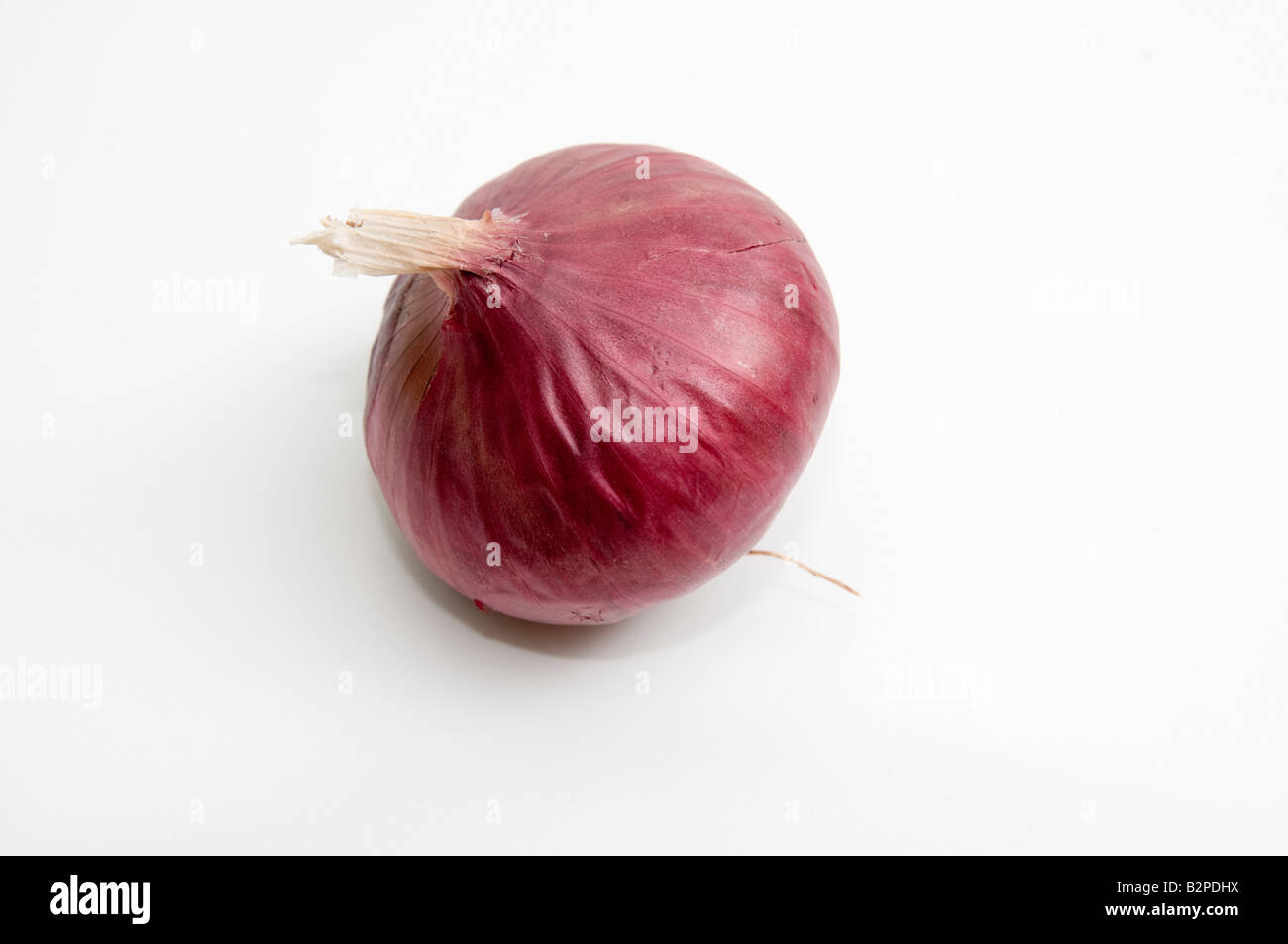 Red Onion on white background Stock Photo