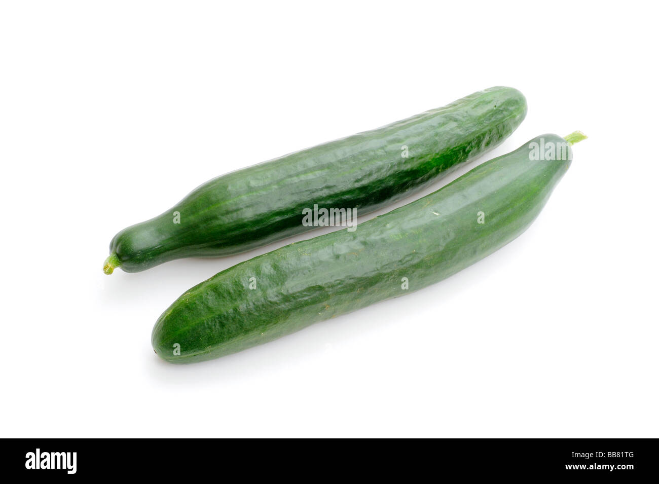 Cucumbers (Cucumis sativus) Stock Photo