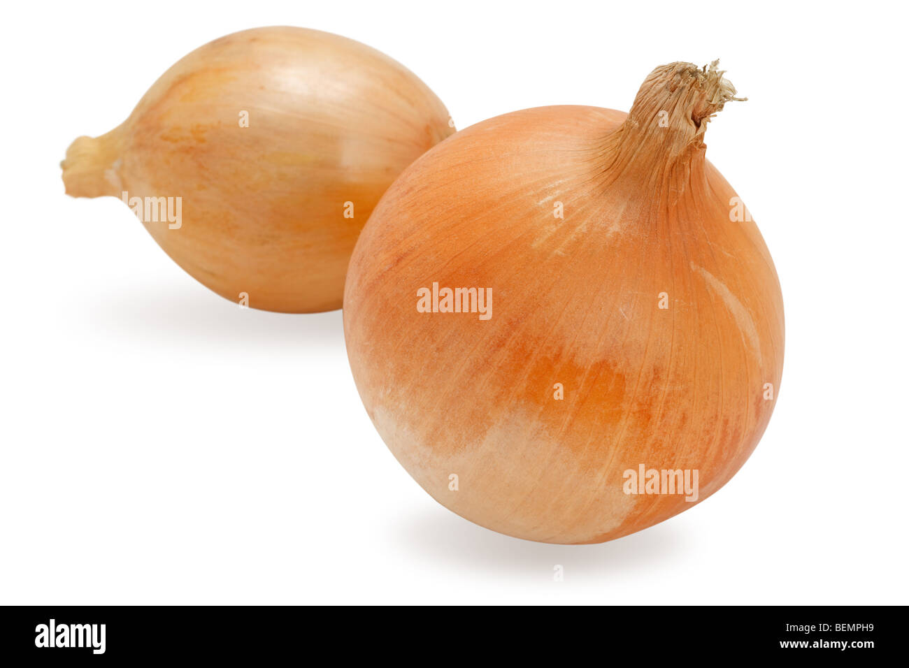 Two fresh onion isolated on white background Stock Photo