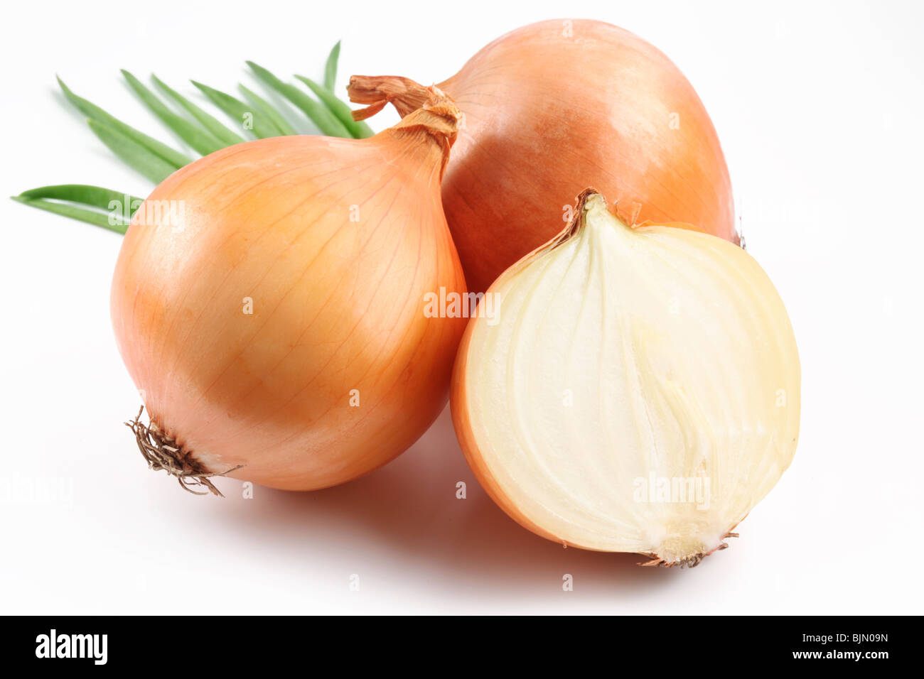 Fresh bulbs of onion on a white background Stock Photo