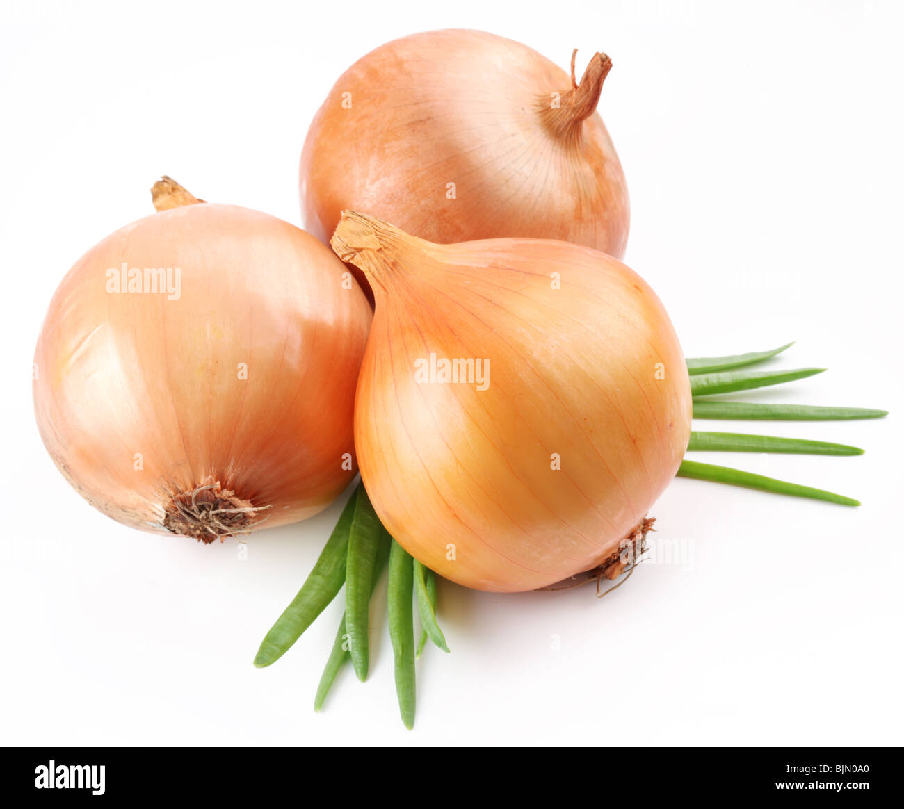 Fresh bulbs of onion on a white background Stock Photo