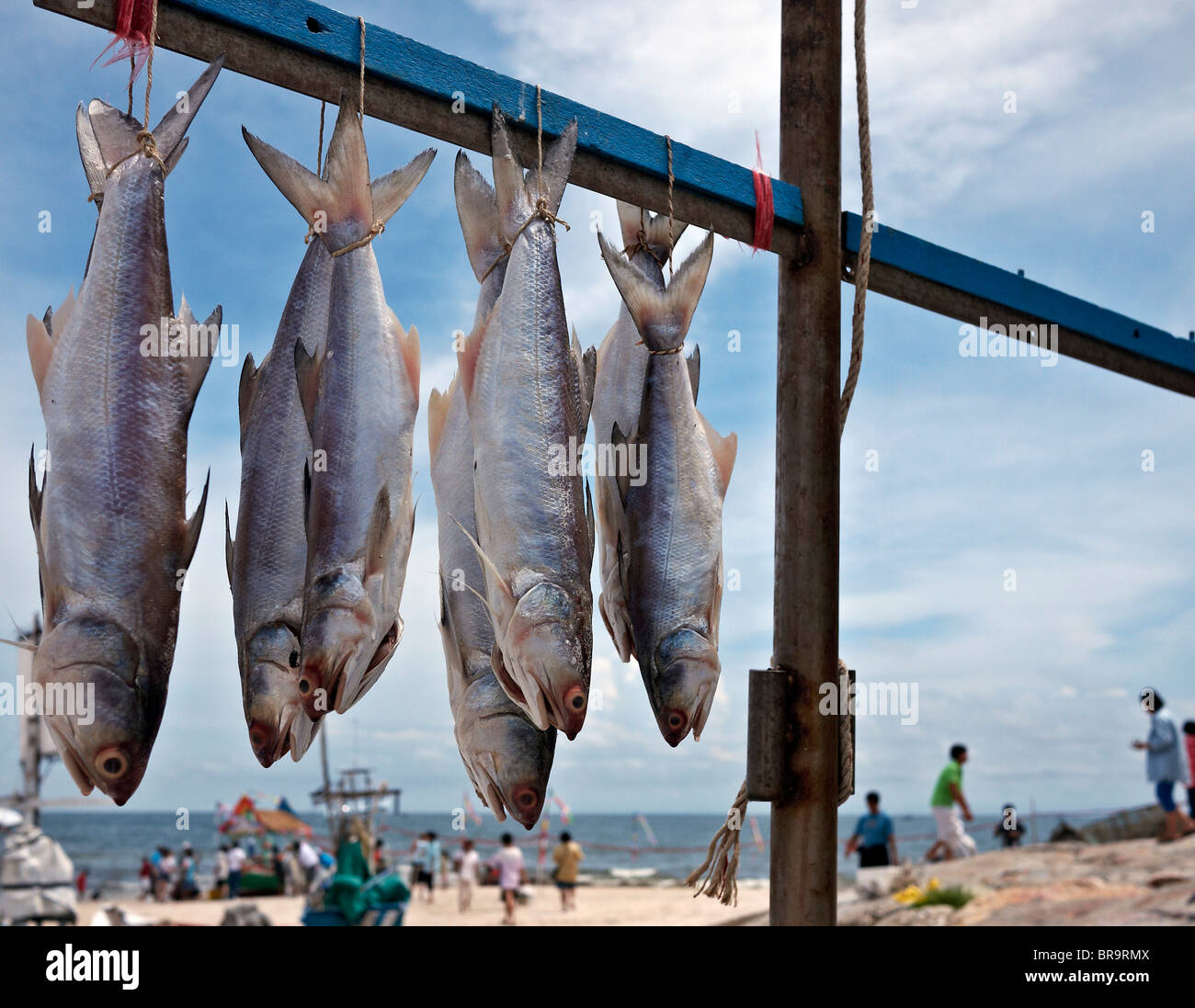 Daily catch of fresh fish hanging out to dry from a fishing boat mast. Hua Hin fishing port, Thailand S. E. Asia Stock Photo