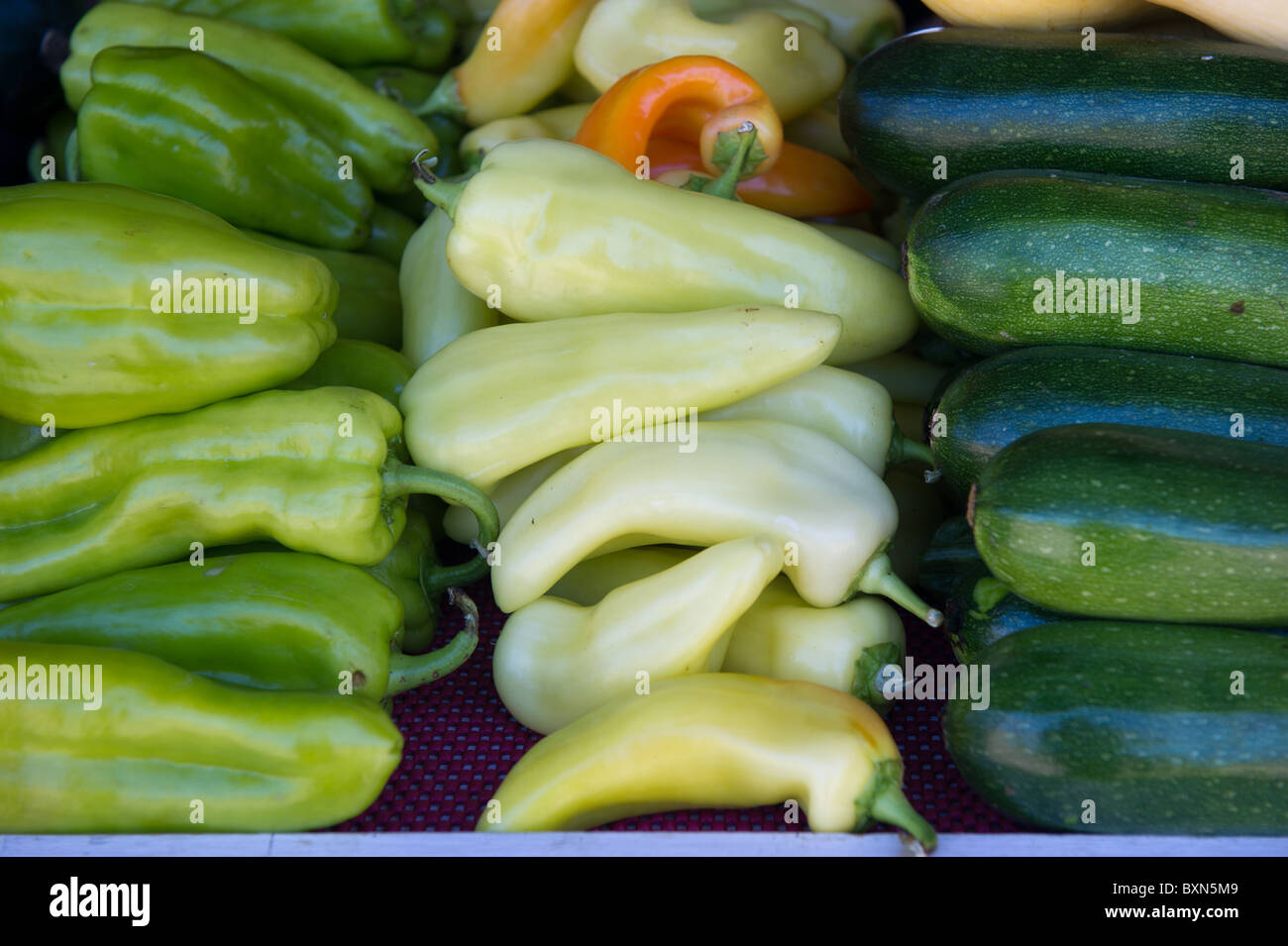 Peppers and cucumbers Stock Photo